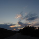 IMG_0668