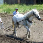 Пашня_